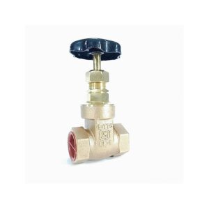 gun metal gate valve eco