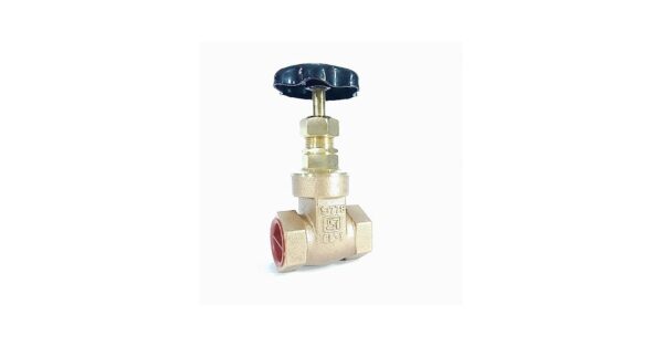 gun metal gate valve eco